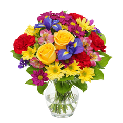 Featured Products